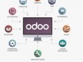 Как грамотно внедрить CRM Odoo в малом бизнесе: фокус на самых востребованных модулях